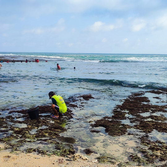 Pantai Drini Gunung Kidul, Pantai Berpasir Putih dengan Karang yang Indah